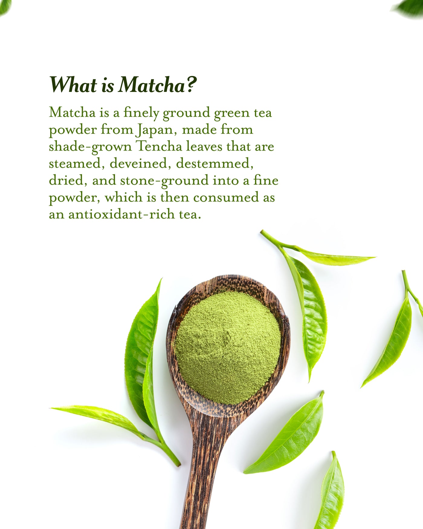 Japanese Matcha Green Tea